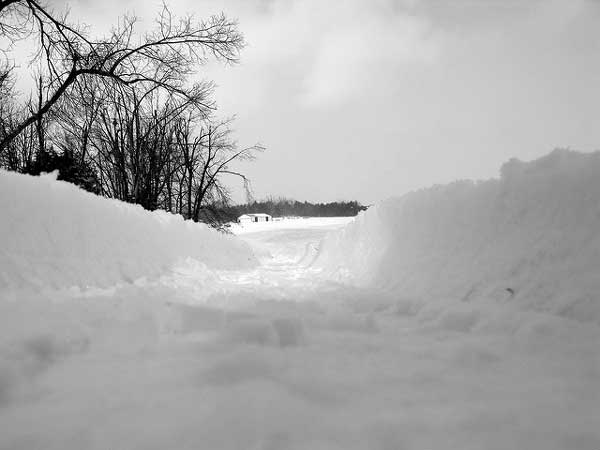 Poem Beginning in the Body and Ending in a Landscape