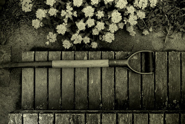 Shoveling Dirt On ritual and grief at a Jewish funeral