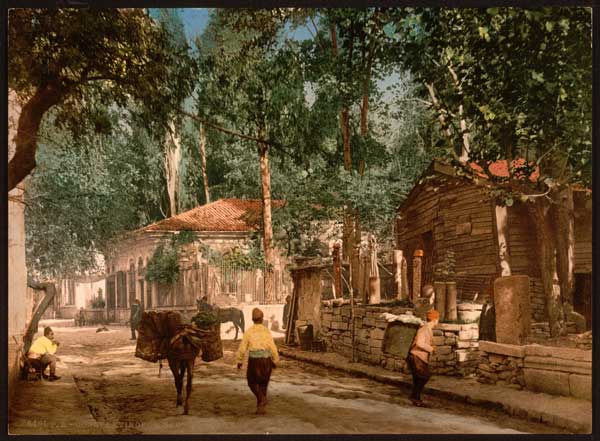 The House (The Gardens of Silihdar)