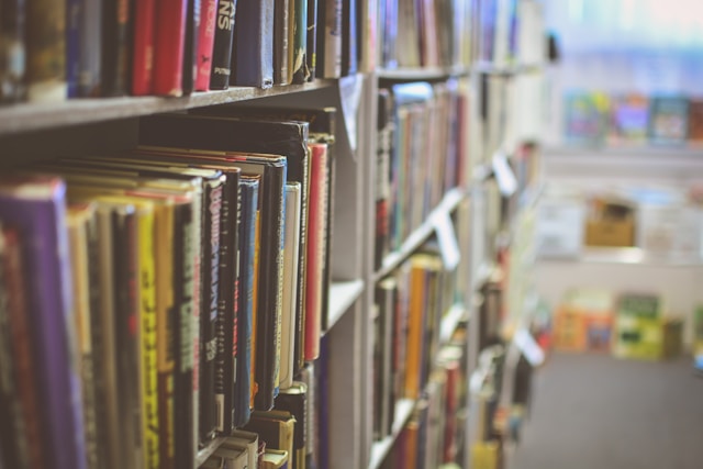 Libraries and the Logic of Sharing